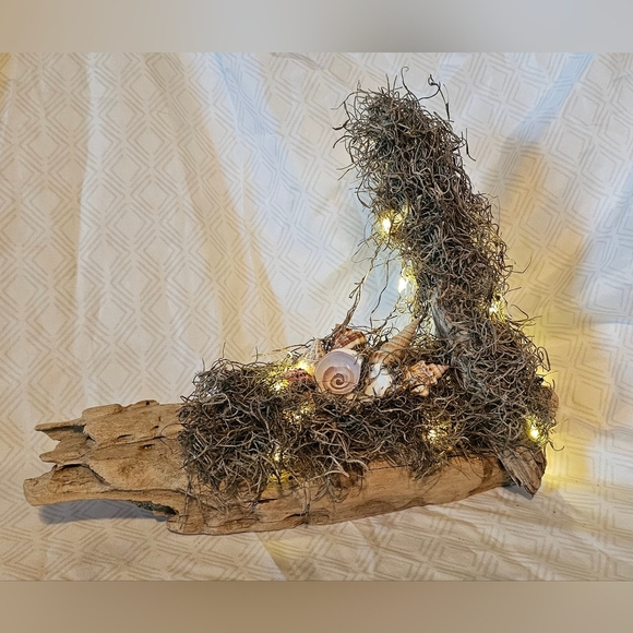 Homemade Driftwood, Seashell, And Fairy Lights Decor - Picture 1 of 5